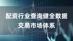 配资行业查询健全数据交易市场体系