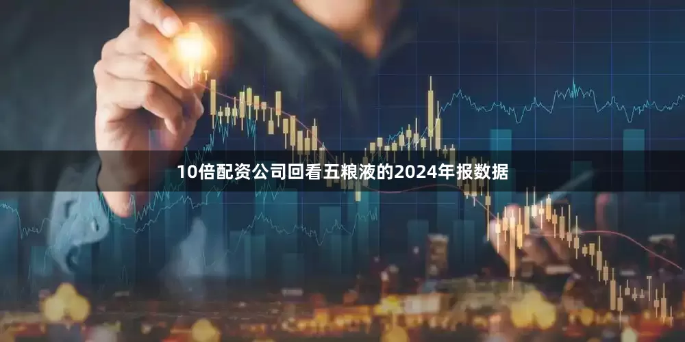 10倍配资公司回看五粮液的2024年报数据