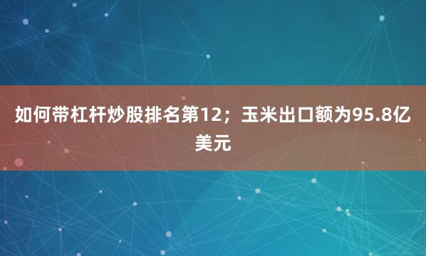 如何带杠杆炒股排名第12；玉米出口额为95.8亿美元