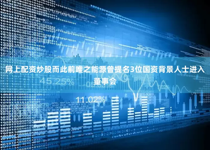网上配资炒股而此前唯之能源曾提名3位国资背景人士进入董事会