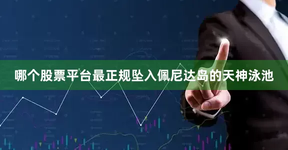 哪个股票平台最正规坠入佩尼达岛的天神泳池