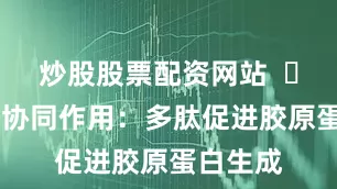 炒股股票配资网站  ✅ 三重肽协同作用：多肽促进胶原蛋白生成