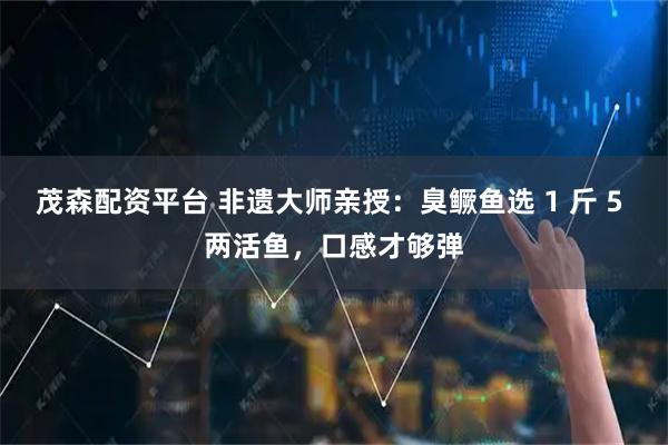 茂森配资平台 非遗大师亲授：臭鳜鱼选 1 斤 5 两活鱼，口感才够弹